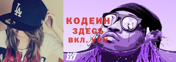 крисы Каменка
