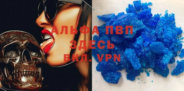 крисы Каменка