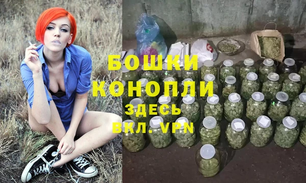 крисы Каменка