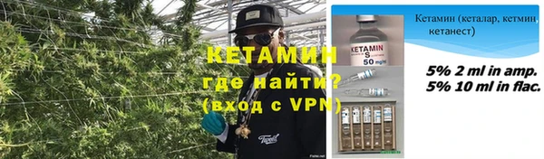 шишки Ессентукская
