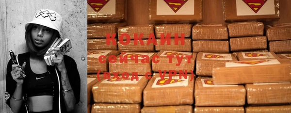 крисы Каменка