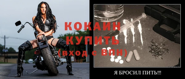 крисы Каменка