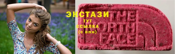 крисы Каменка