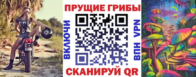 наркотики  Дмитровск  Галлюциногенные грибы Magic Shrooms 